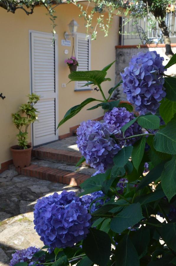 Maison Brinati Bed And Breakfast Monsummano Terme Екстер'єр фото